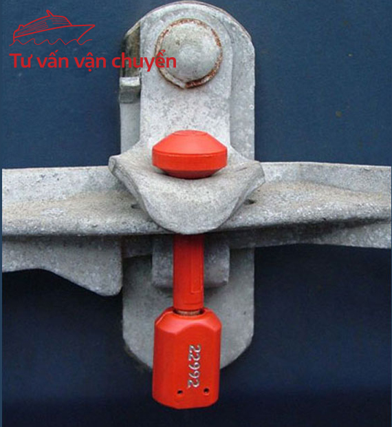 Hình ảnh các loại seal trong bài viết
